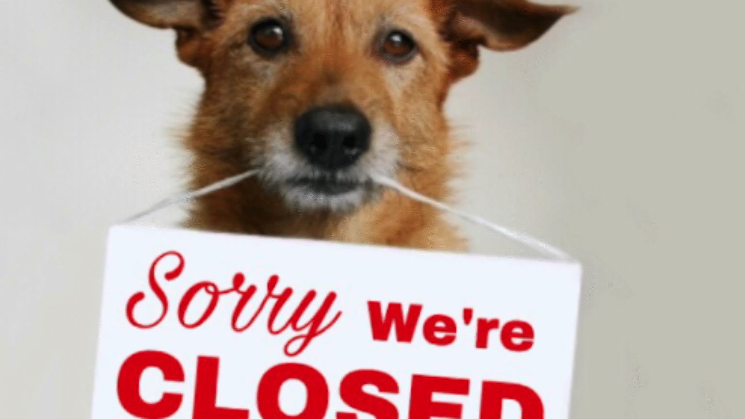 Gesloten wegens teamdag