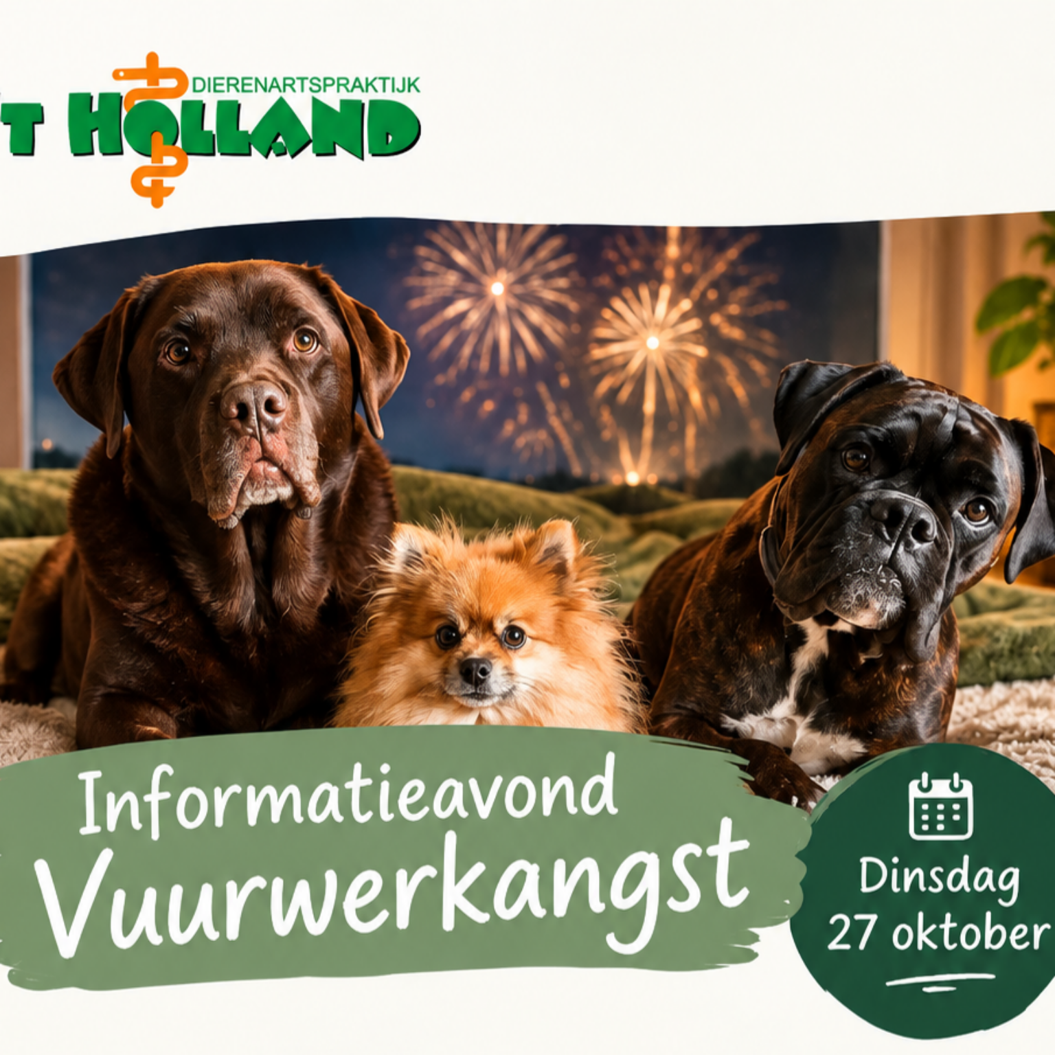 Vuurwerkangst informatieavond 2026